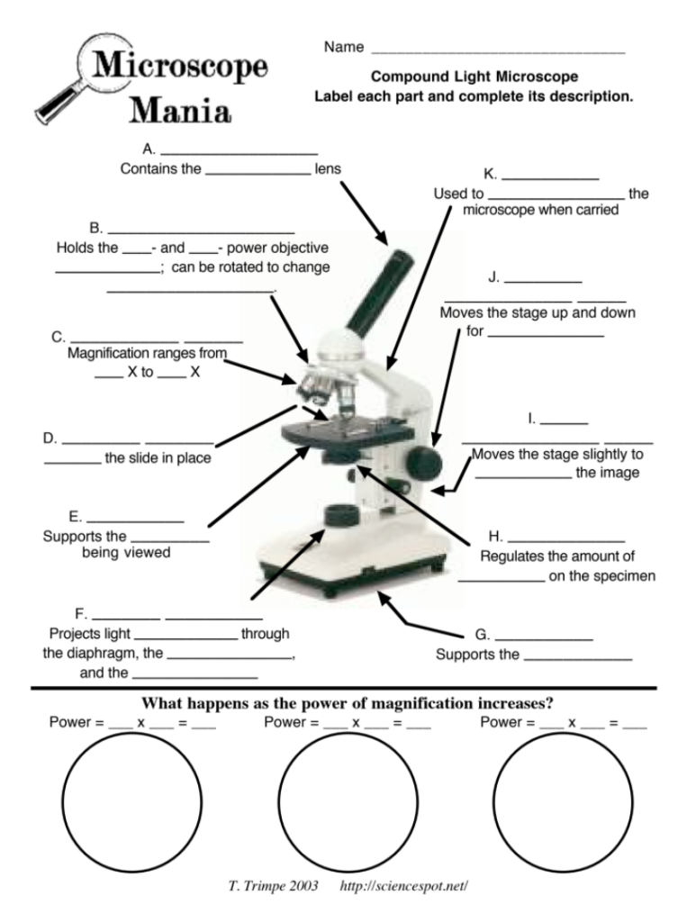 Microscopes! – Dr. Study Buddy's Education Platform